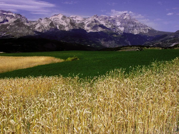 Francia Alpi Provenienza Paesaggio Scenico Devoluy Regione Vicino Gap — Foto Stock