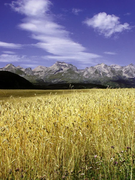 France Alps Provence Landscape Scenic Devoluy Region Gap — Stock Photo, Image