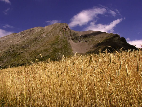 Franciaország Alpok Provence Táj Festői Devoluy Régió Közelében Különbség — Stock Fotó