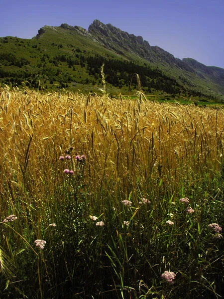 France Alpes Provence Paysage Pittoresque Région Dévastée Près Écart — Photo