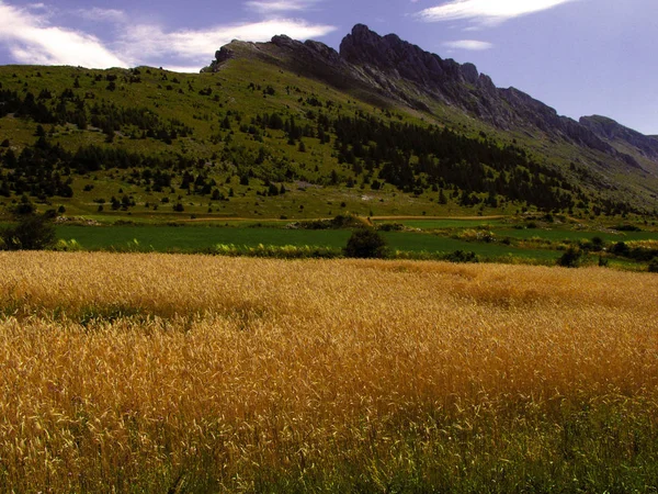 Frankreich Alpen Provence Landschaft Landschaft Devoluy Region Nähe Lücke — Stockfoto