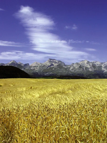 Francja Prowansja Alpy Krajobraz Regionu Sceniczny Devoluy Pobliżu Gap — Zdjęcie stockowe