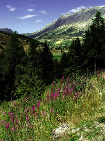 France Alpes Provence Paysage Pittoresque Région Dévastée Près Écart — Photo