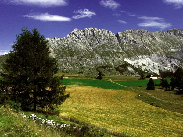 France Alpes Provence Paysage Pittoresque Région Dévastée Près Écart — Photo