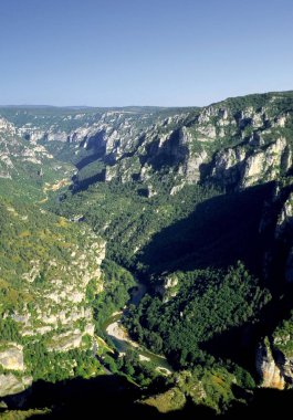 Rock üzerinde Gorges du tarn, Fransa görüntülemek