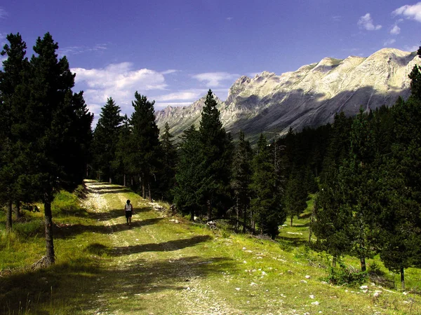 在白天阿尔卑斯山的美妙景色 — 图库照片