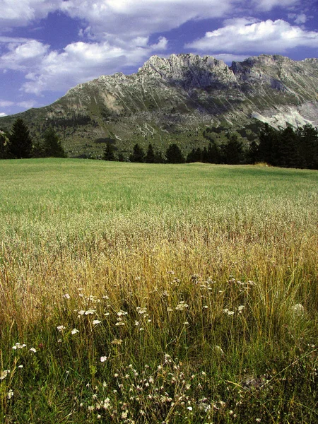 昼間では フランス アルプスの山々 の絶景 — ストック写真