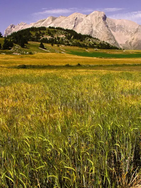 Incrível Vista Das Montanhas Dos Alpes Durante Dia França — Fotografia de Stock