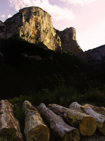 Bușteni Lemn Fundalul Munților Alpi Franța — Fotografie, imagine de stoc