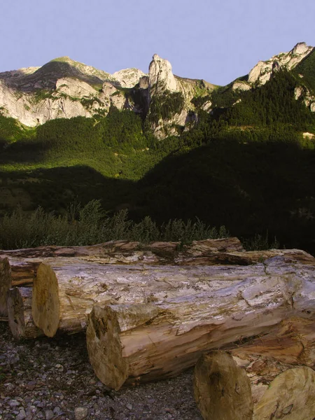 Troncos Madera Los Alpes Montañas Fondo Francia —  Fotos de Stock