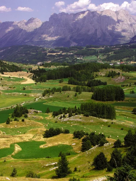 Malerischen Blick Auf Allee Auf Alpen Berge Hintergrund Frankreich — Stockfoto
