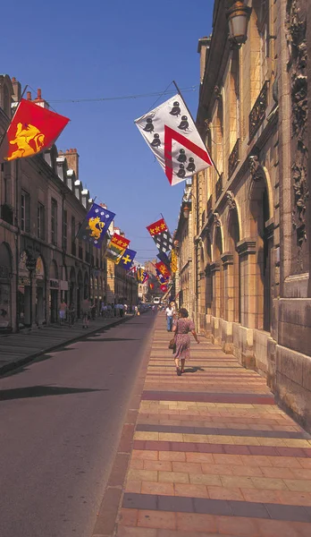 Vista Arquitetura Antiga Nas Ruas Dijon Durante Dia França — Fotografia de Stock