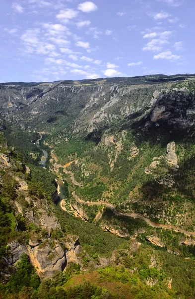 Vista Dalla Roccia Sulle Gorges Tarn Francia — Foto Stock