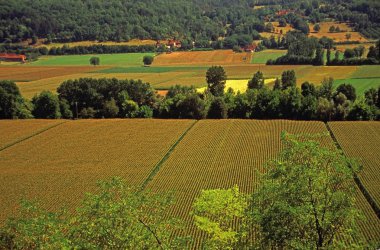 Limeuil tarım alanları üzerinde havadan görünümü