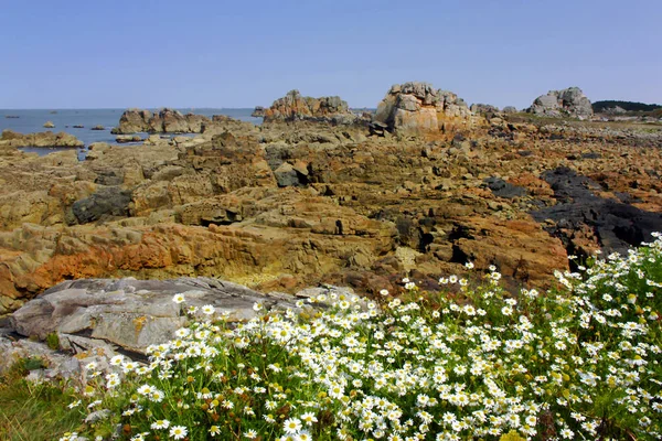 View Meadow Rocky Coastline Blue Sky Background — Stock Photo, Image