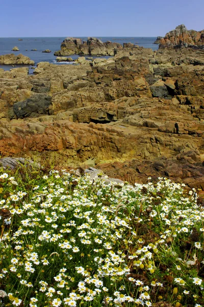 View Meadow Rocky Coastline Blue Sky Background — Stock Photo, Image