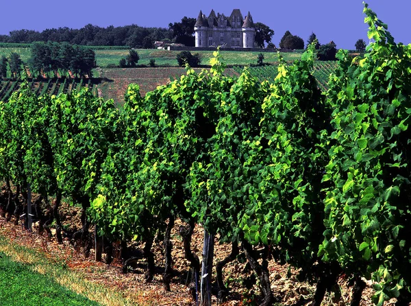 Blick Auf Die Weinberge Von Monbazillac Frankreich — Stockfoto