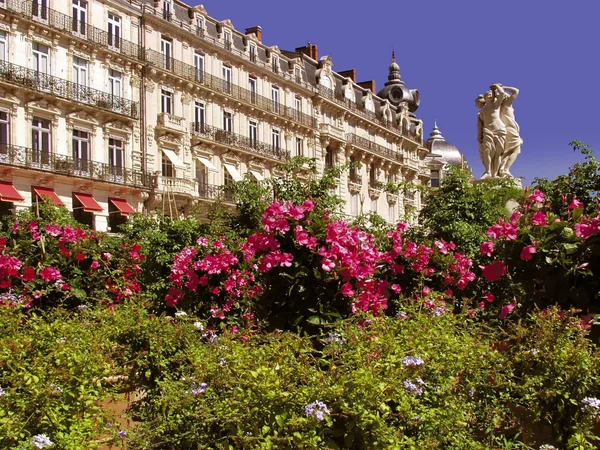 Blommor Som Blommar Och Arkitekturen Languedoc Staden Dagtid Frankrike — Stockfoto