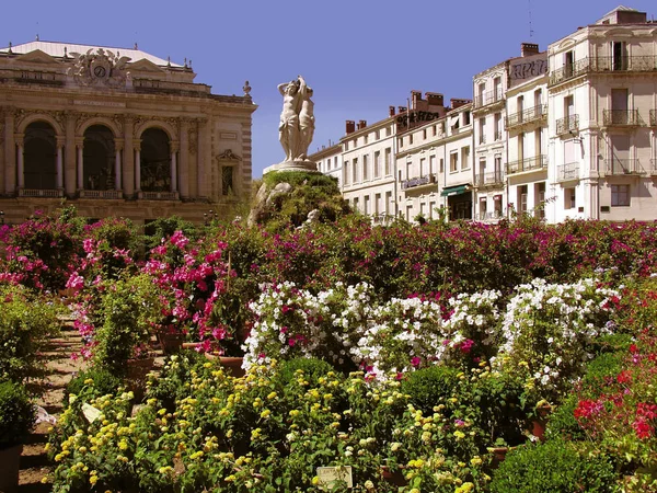 Vista Flores Florescendo Arquitetura Cidade Languedoc Durante Dia França — Fotografia de Stock