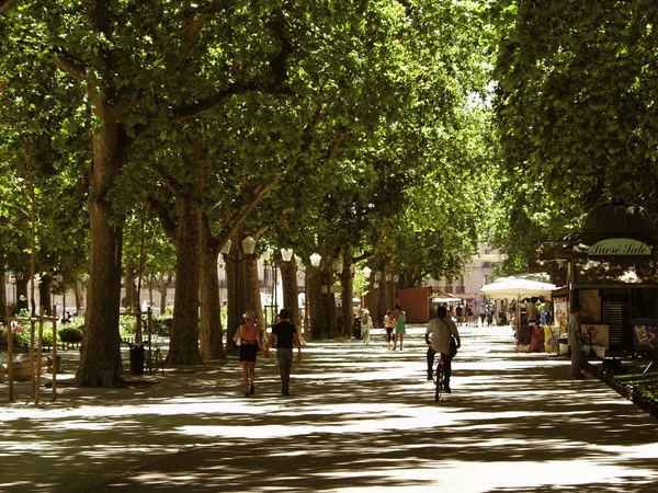 Passeggiata Nel Parco Con Caffè All Aperto Nella Calda Giornata — Foto Stock