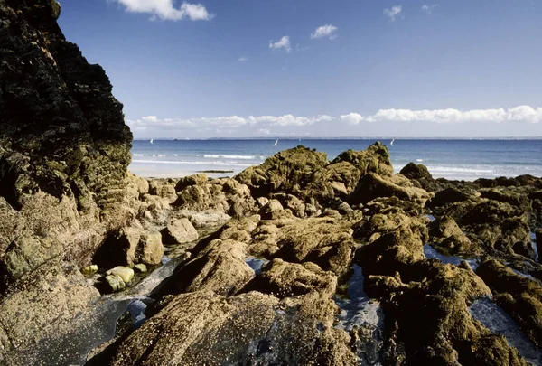 Rocce Sulla Costa Morgat Francia — Foto Stock