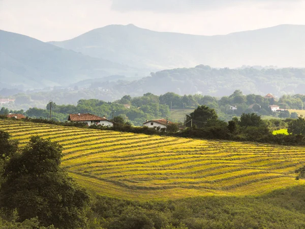 Landscape Pays Basque Daytime — Stock Photo, Image