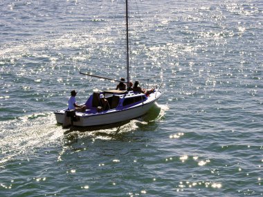 Fransa languedoc roussillon port camargue Güney Fransa