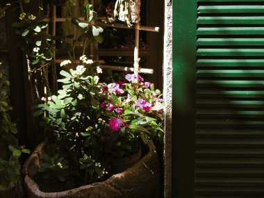 france. provence/cotes d'azur. (var) ramatuelle. nr. st.tropez