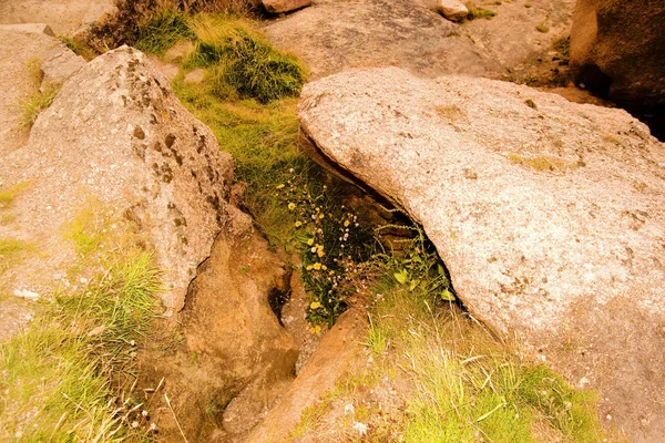 Vista Dal Faro Promontorio Cote Graint Rosa Bretagna Francia — Foto Stock