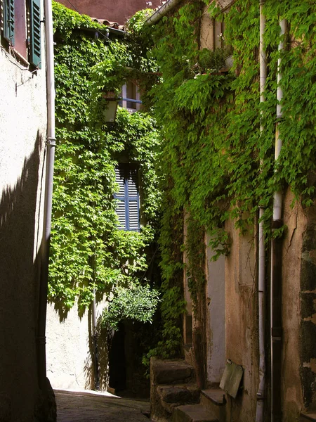 França Provence Cotes Azur Var Ramatuelle Não Tropez — Fotografia de Stock