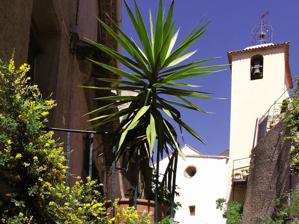 França Provence Cotes Azur Var Ramatuelle Não Tropez — Fotografia de Stock