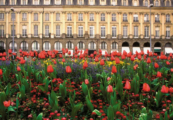 Europe France Brittany Rennes Centro Storico — Foto Stock