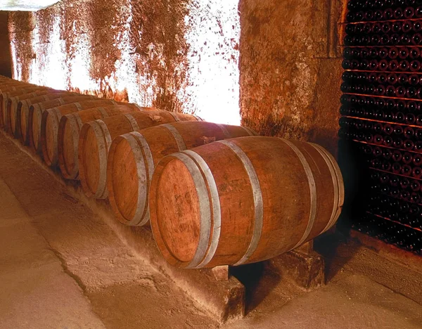 Γαλλία Ακουιτανία Κελάρι Κρασιού Emilion Μπορντό — Φωτογραφία Αρχείου