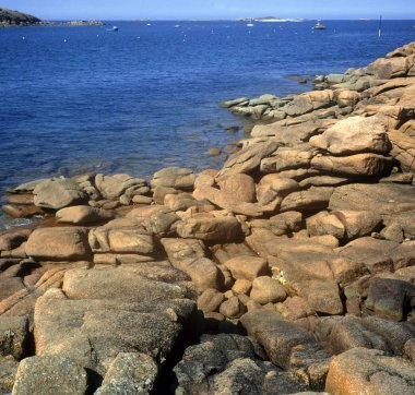 Fransa. Brittany. Büyük gül kotları. trebeurden