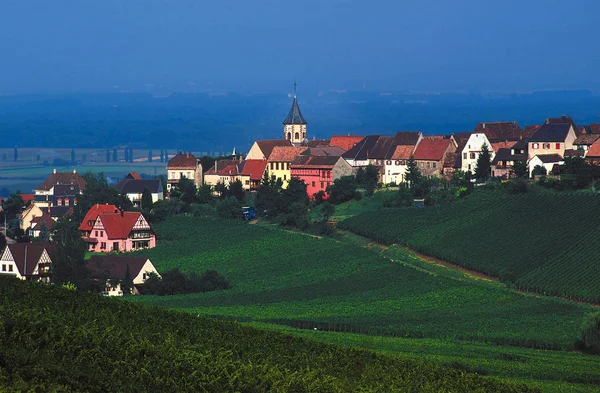 Veduta Dei Vigneti Francesi Cleebourg — Foto Stock