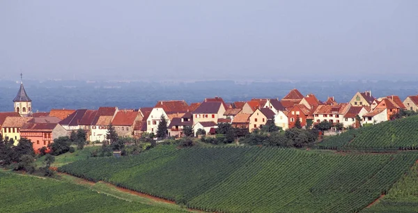 Vista Los Viñedos Franceses Zellenburg —  Fotos de Stock