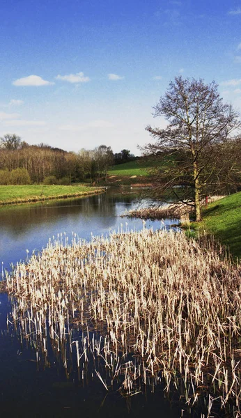 Compton Verney Zámek Umění Nadace Warwickshire Anglickém Midlands Anglie Natočen — Stock fotografie