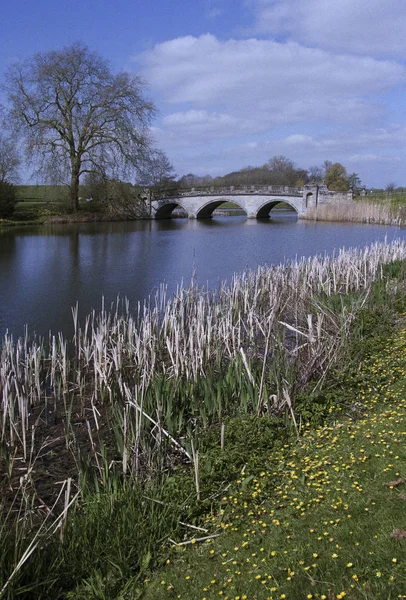 Compton Margitpalma Impozáns Otthon Művészeti Alapítvány Warwickshire Angol Midlands Anglia — Stock Fotó