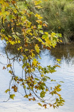 charlecote park warwickshire İngiltere'de arazi ve emlak