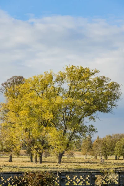 Terrenos Finca Charlecote Park Warwickshire England — Foto de Stock