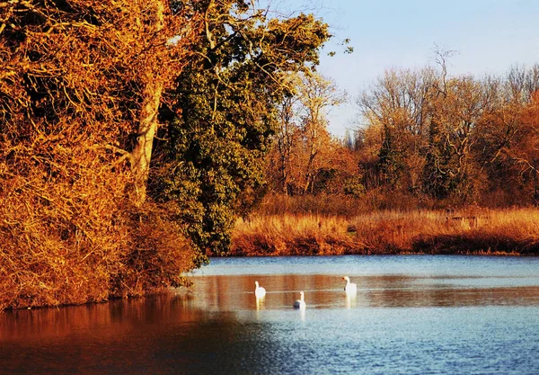 Warwick Okresní Město Hrabství Warwickshire Anglickém Midlands Anglie Natáčet Kamerou — Stock fotografie