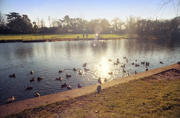 Warwick County Town County Warwickshire English Midlands England Shot Film — Stock Photo, Image