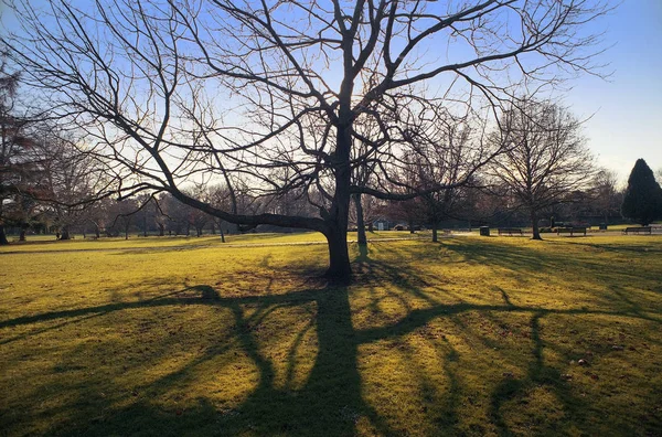 Warwick Est Une Ville Comté Warwickshire Dans Les Midlands Anglais — Photo