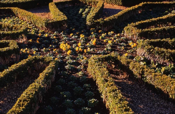 花园和庄园的查理科特公园 沃里克郡 英国米德兰兹 使用莱卡相机在胶片上拍摄 — 图库照片
