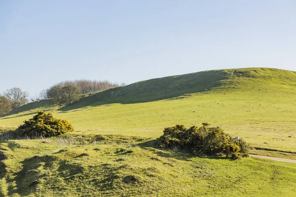 Burton Dassett Hills Country Park Warwickshire Midlands Anglais Angleterre Royaume — Photo