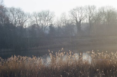 akarsu göl nehir orman gün batımı gündoğumu -film çekimi