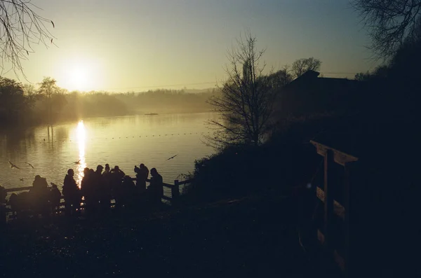 Stream Lake River Forest Sunset Sunrise Shot Film — Stockfoto