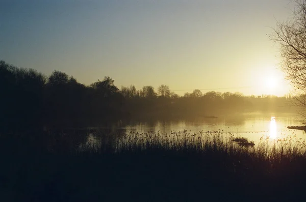 Stream Lake River Forest Sunset Sunrise Shot Film — Stockfoto