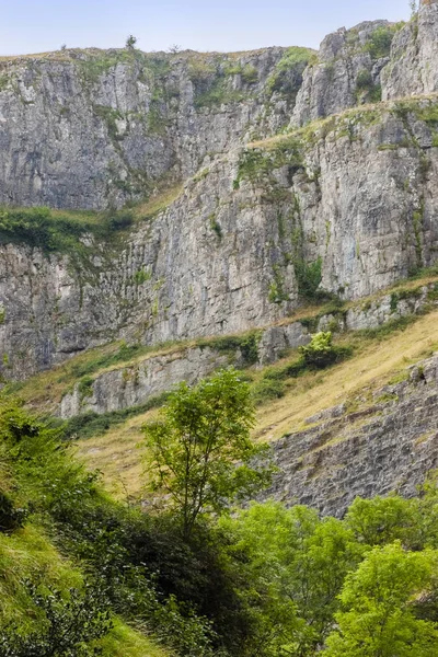 Cheddar Schlucht Kalksteinklippen Mendip Hügel Salto England — Stockfoto