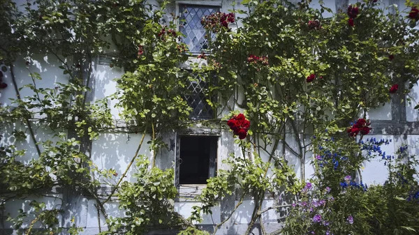 Cottages — Stock Photo, Image